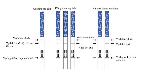 Vạch dưới đậm hơn vạch trên que thử thai: Có phải bạn đang mang thai? Gallery 2
