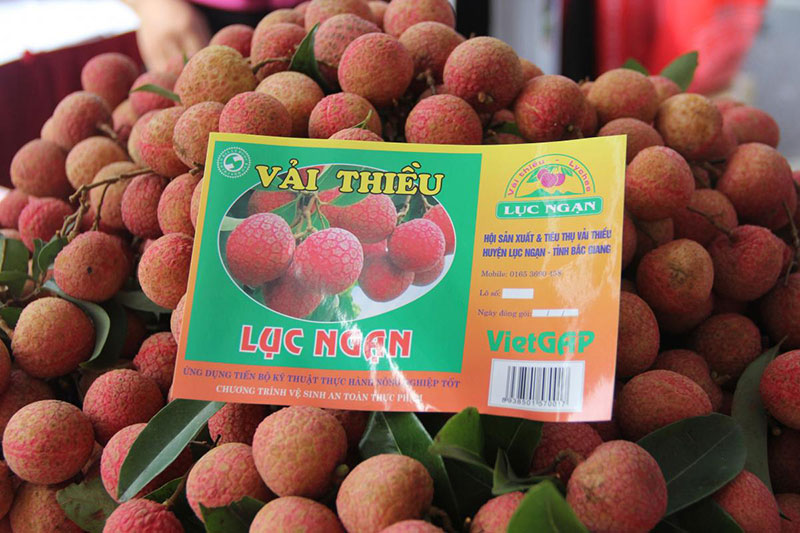 Vải là đặc sản của tỉnh nào? Gallery 2