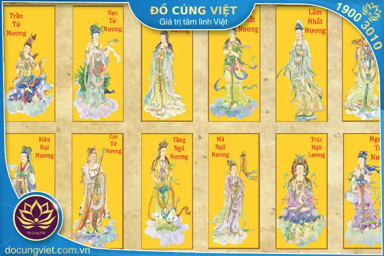 Bà Mụ Là Ai? Gallery 1