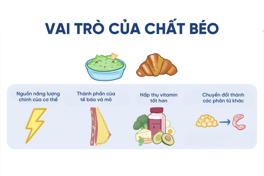 Chất béo gồm những gì? Gallery 2