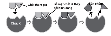 Chất Tham Gia Phản Ứng Là Gì? Gallery 2