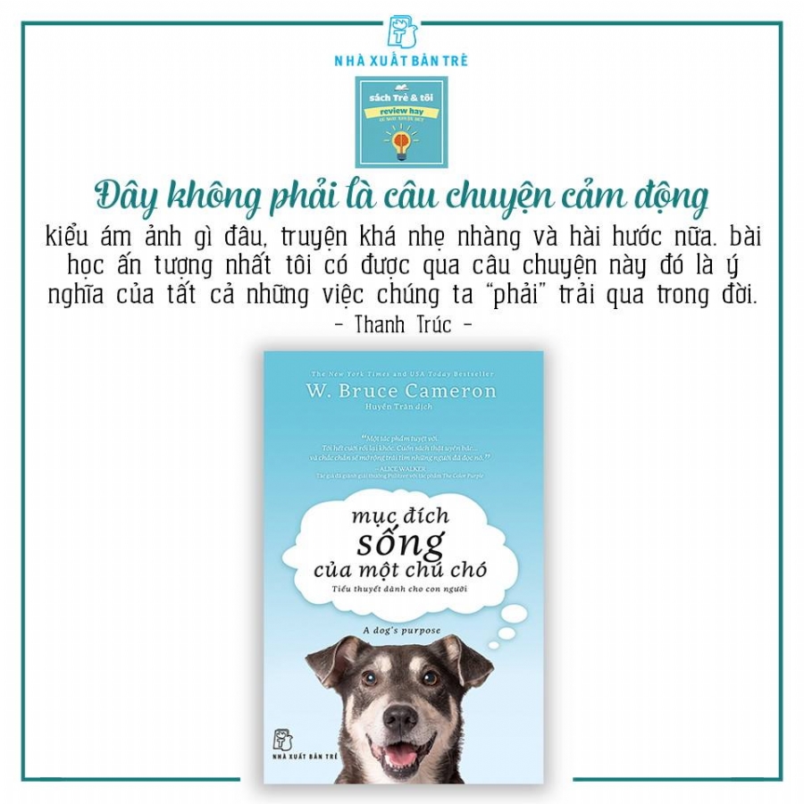 Bài Văn Về Con Chó Gallery 2