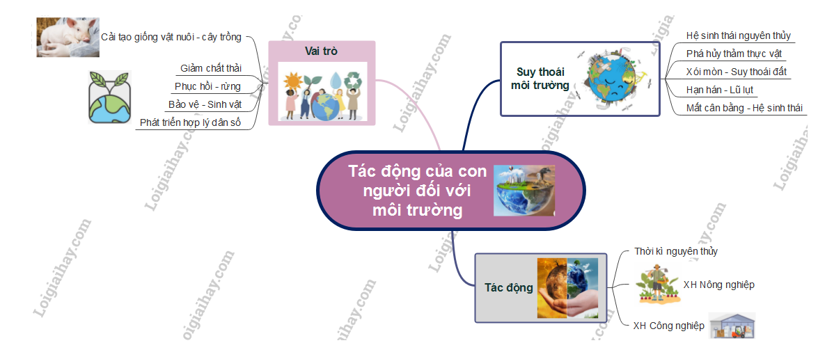 Vai trò của con người trong việc bảo vệ và cải tạo môi trường tự nhiên