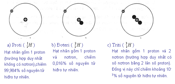 Hạt Nơtron Kí Hiệu Gallery 2