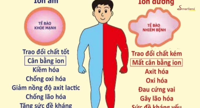 Ion Âm và Ion Dương Là Gì? Gallery 2