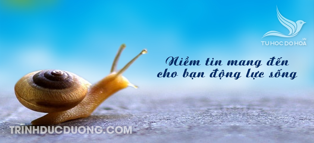 Khái niệm về Niềm Tin Gallery 2