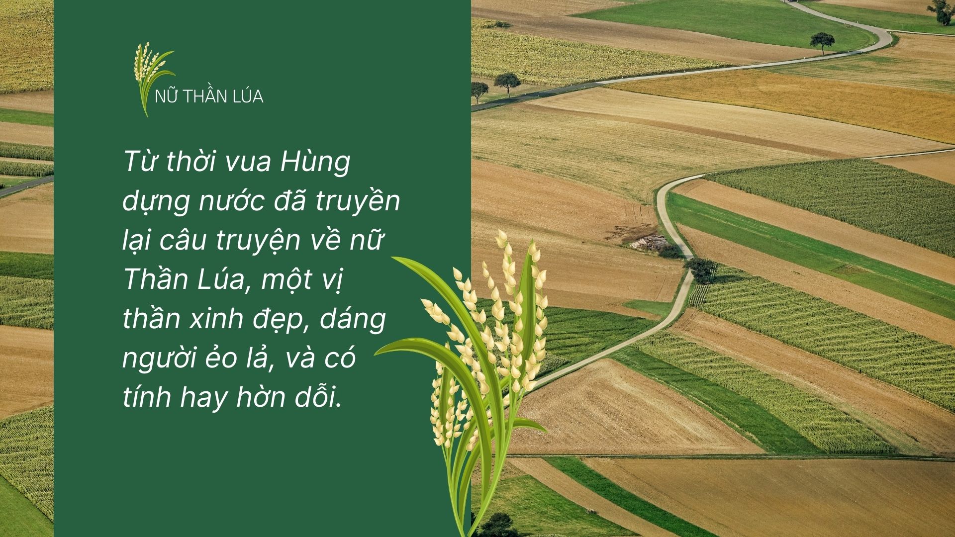 Phân tích Nữ thần Lúa Gallery 2