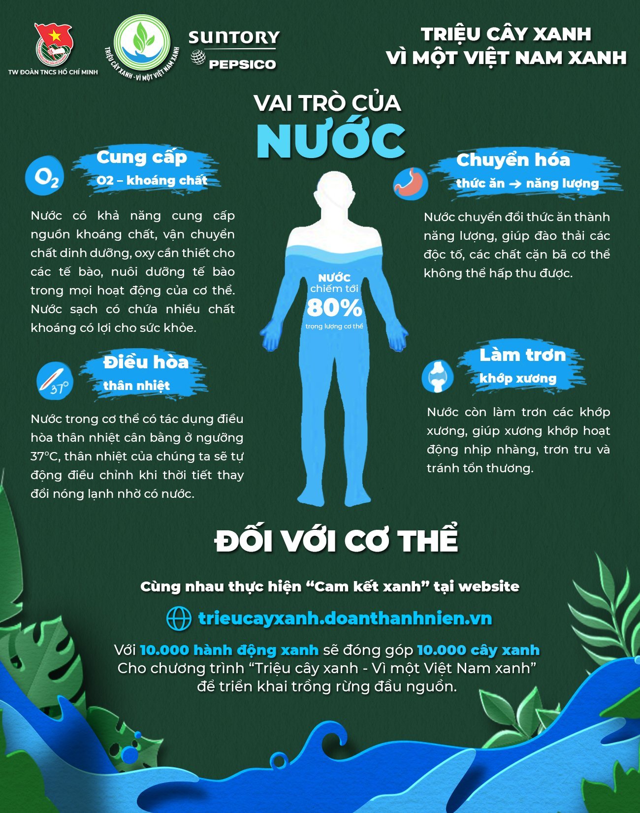 Vai trò của nước