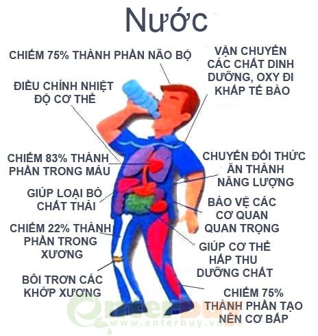 Vai trò của nguồn nước Gallery 1