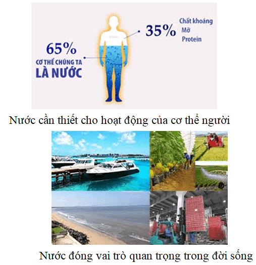 Vai trò của nước trong đời sống và sản xuất