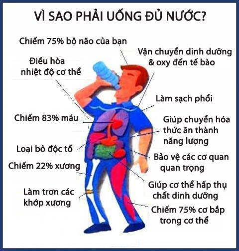 Vai trò của nước trong đời sống và sản xuất Gallery 1