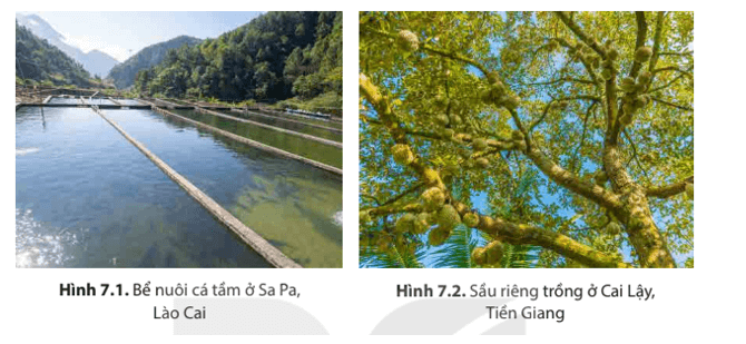 Vai trò của tài nguyên nước Gallery 2