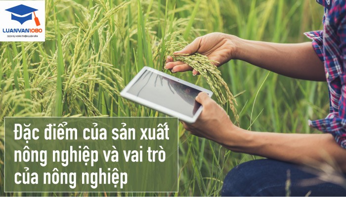 Vai trò của sản xuất nông nghiệp không phải là gì?