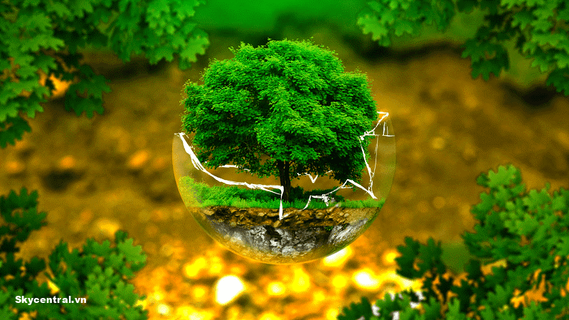 Vai trò của thiên nhiên đối với cuộc sống con người