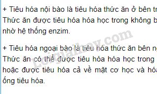 Tiêu Hóa Ngoại Bào Là Gì? Gallery 2