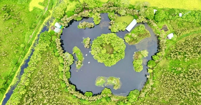 Tình Yêu Thiên Nhiên: Nguồn Cảm Hứng Vô Tận Của Con Người Gallery 2