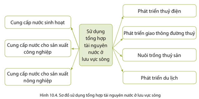 Trông Chừng Là Gì? Định Nghĩa, Vai Trò Và Những Điều Cần Biết Gallery 2