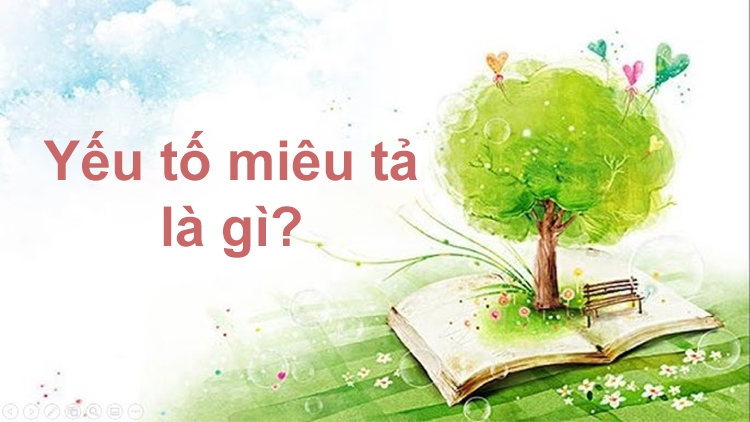 Yếu tố miêu tả là gì? Gallery 1