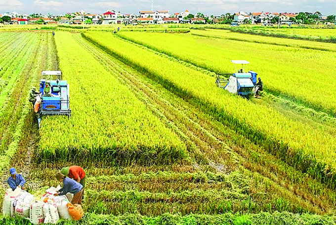 Vai trò của sản xuất nông nghiệp không phải là gì? Gallery 1