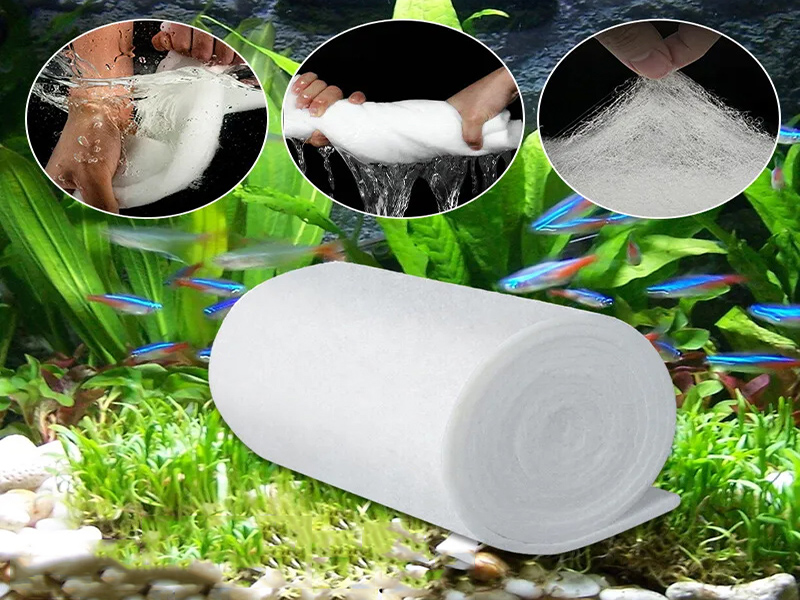Bông Lọc Bể Cá: Hướng Dẫn Chọn và Sử Dụng Hiệu Quả Gallery 1