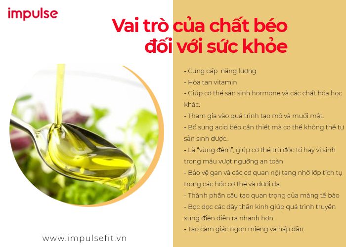 Chất béo có tác dụng gì? Gallery 1