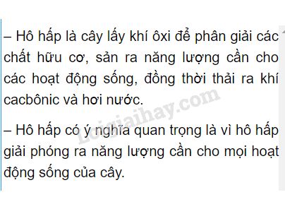 Quá trình hô hấp có ý nghĩa gì? Gallery 1