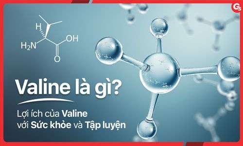 Valine có tác dụng gì? Gallery 2
