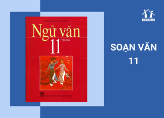 Văn 11 Ngắn Nhất