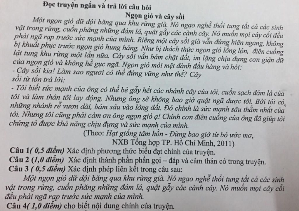 Ngọn Gió và Cây Sồi Gallery 2