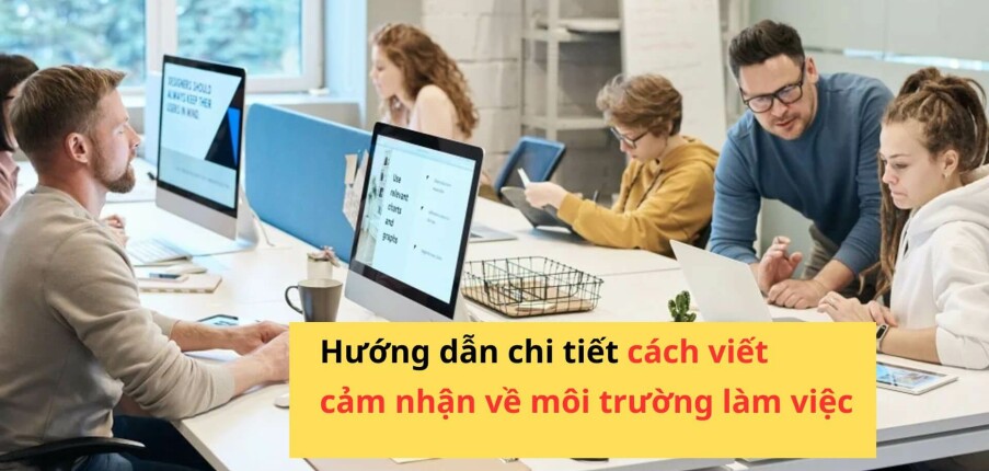 Cảm nhận về môi trường làm việc tại công ty Gallery 1