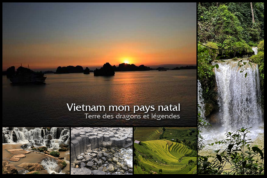 Việt Nam Quê Hương Tôi Gallery 2