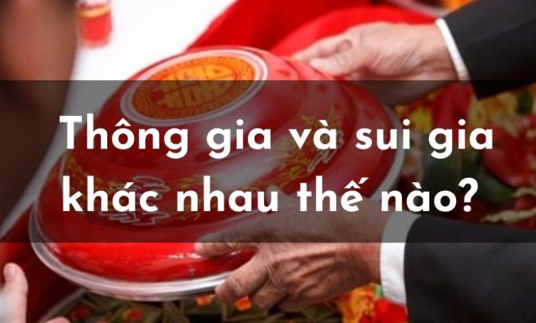 Thông Gia và Sui Gia Khác Nhau Thế Nào? Gallery 2