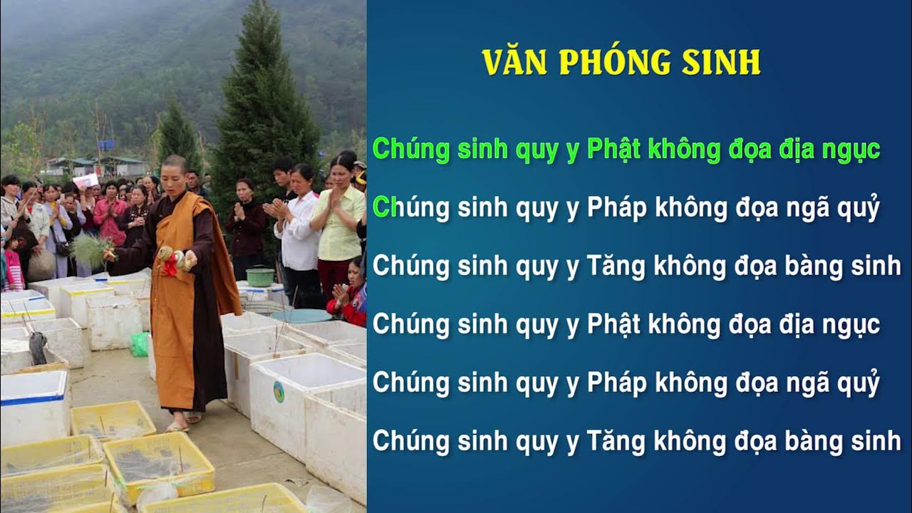 Văn Khấn Phóng Sinh Chuẩn Theo Đạo Phật