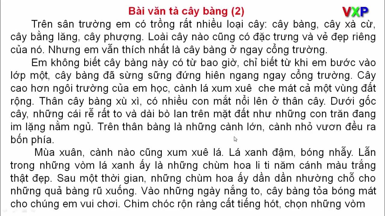 Cây Bóng Mát
