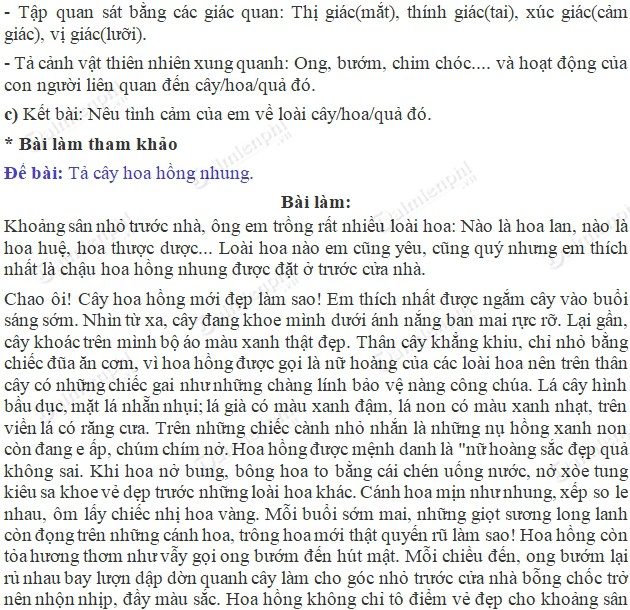 Văn lớp 5 tả cây cối
