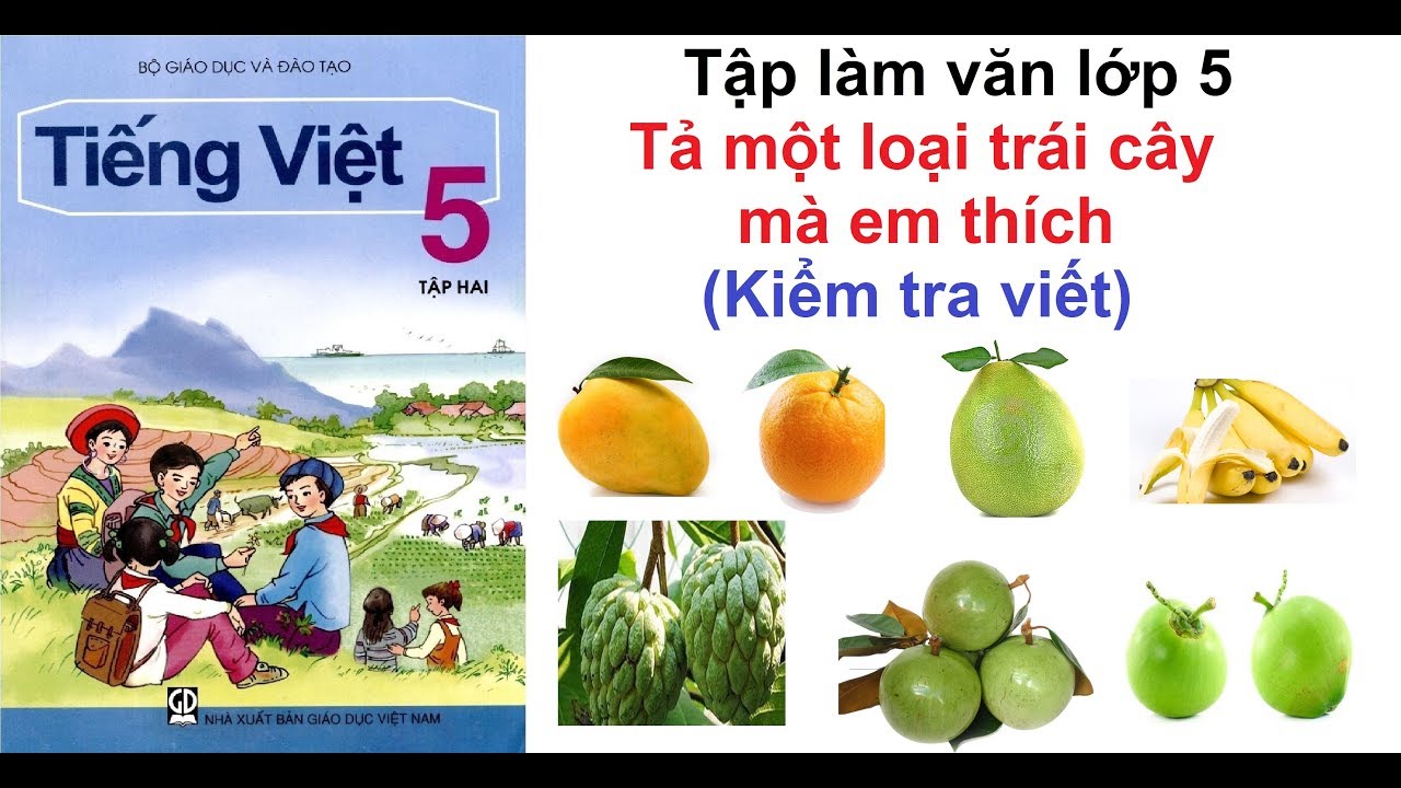 Quả Mít - Loại Trái Cây Em Thích Gallery 2