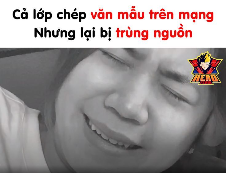 Văn Mẫu Meme: Bí Kíp Sáng Tạo Meme Hài Hước Và Thu Hút
