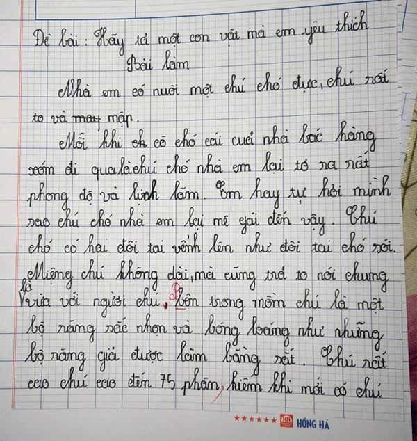 Văn Mẫu Tả Con Vật Lớp 5