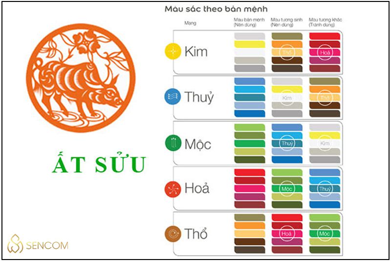 Trai 2009: Sinh năm 2009 thuộc tuổi gì, tính cách và vận mệnh ra sao? Gallery 2
