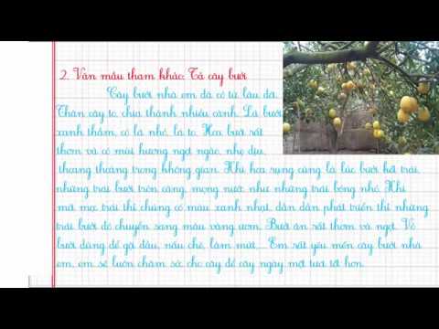 Văn Tả Cây Bưởi