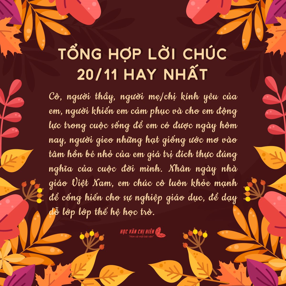 Văn Xuôi 20/11: Những Lời Tri Ân Thầy Cô Gallery 2