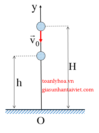 Vật rơi tự do là gì?
