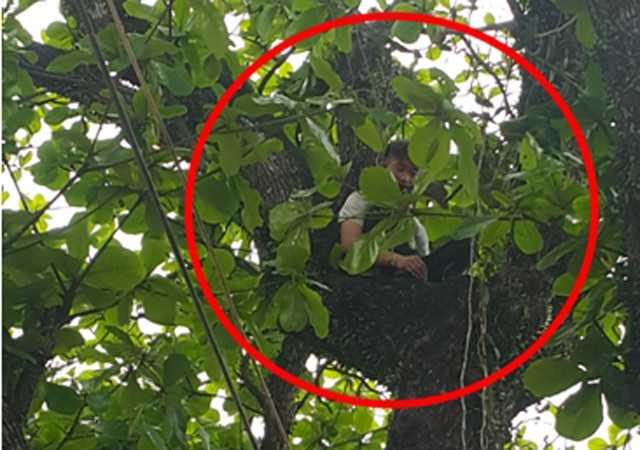 Vắt vẻo là gì?