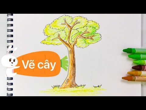 Vẽ Cây Đẹp Nhất
