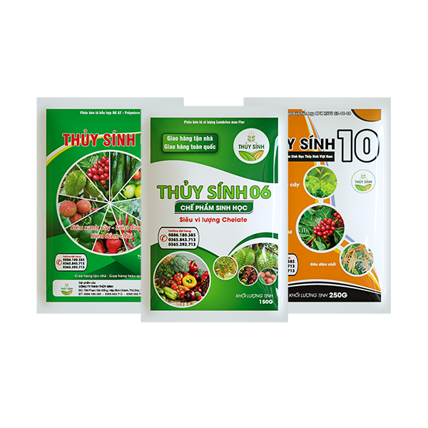 Công ty Thủy Sính - Nhà cung cấp giải pháp hàng đầu về [Sản phẩm/dịch vụ chính của công ty] Gallery 1