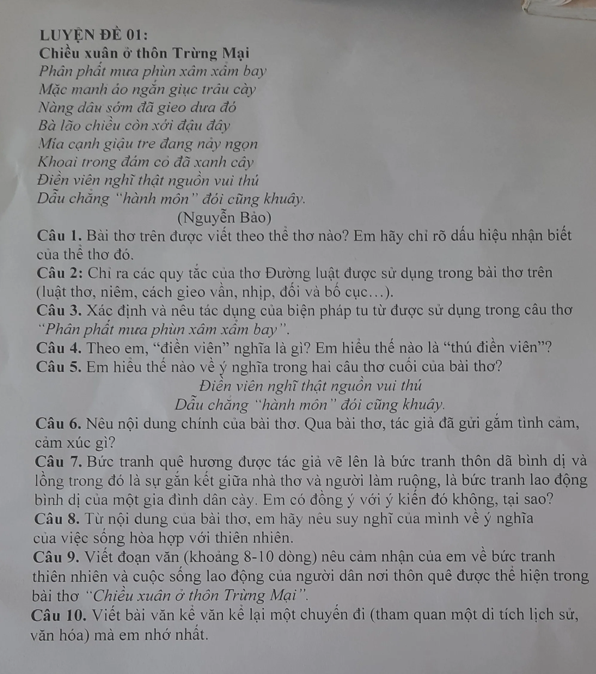 Chiều Xuân Ở Thôn Trừng Mại Gallery 1