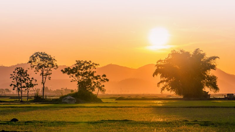 Cảnh Đồng Quê Yên Bình Gallery 1