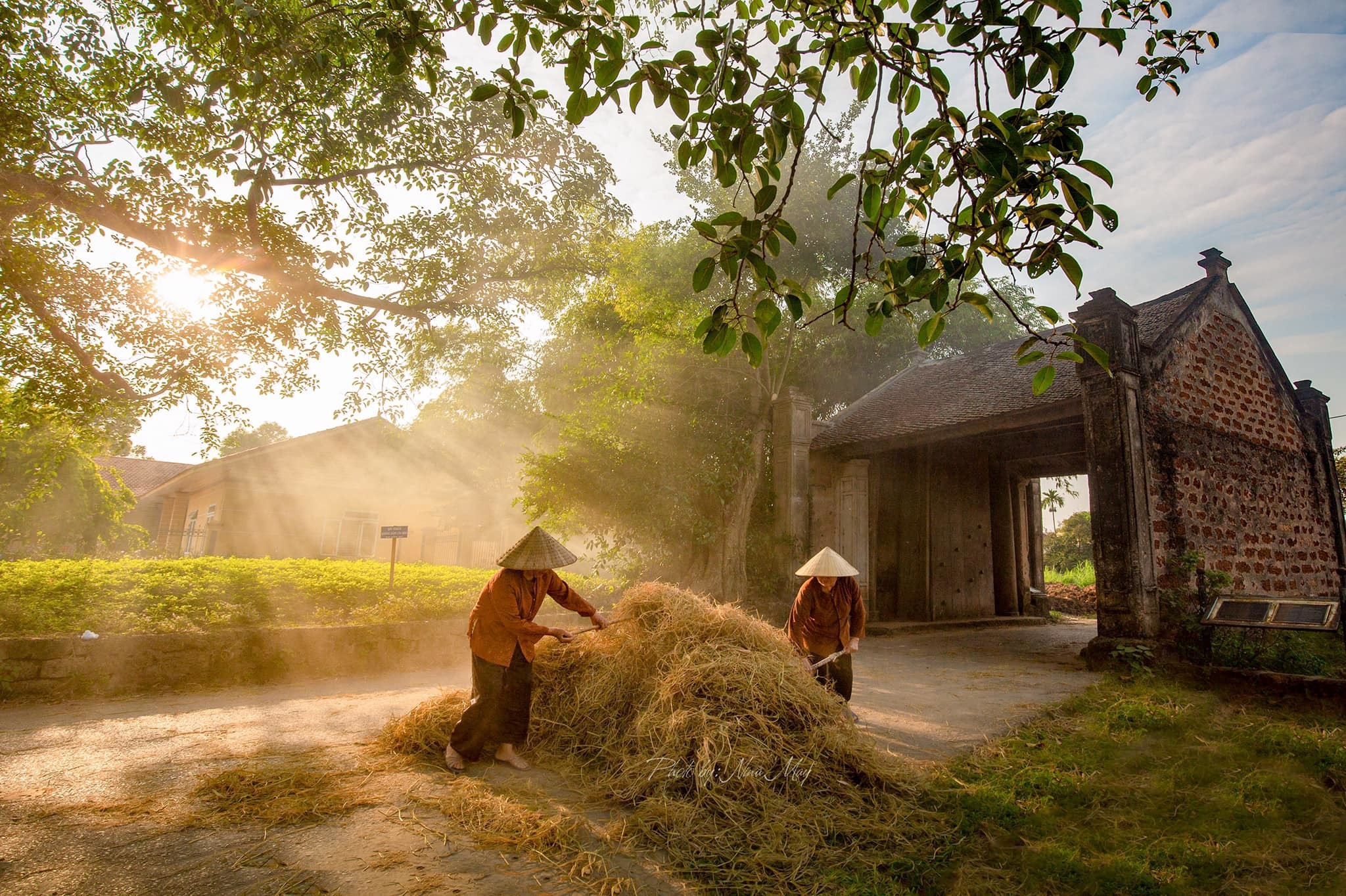 Hôm Nay Tôi Về Quê Ngoại Một Vùng Quê Xưa Gallery 1