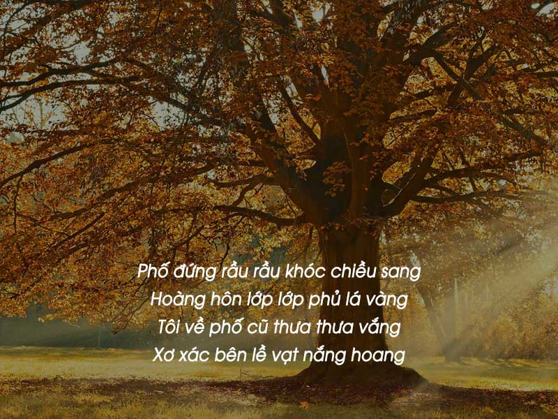 Thơ Về Mùa Thu: Tuyển Tập Những Bài Thơ Hay Và Ý Nghĩa Gallery 1