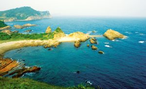 Tóm Tắt và Phân Tích Bài Cô Tô Ngữ Văn 6 Gallery 1